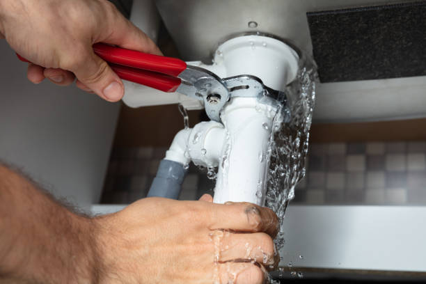 Best Fire Damage Restoration  in Middle Valley, TN