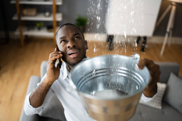 Best Mold removal after water damage  in Middle Valley, TN