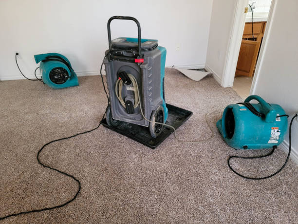 Best Water damage restoration specialists  in Middle Valley, TN