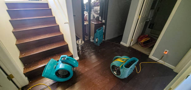 Best Professional water damage repair  in Middle Valley, TN