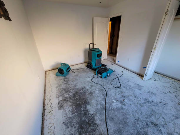 Best Water damage contractors near me  in Middle Valley, TN