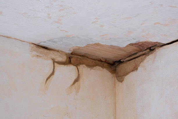 Best Water damage restoration near me  in Middle Valley, TN