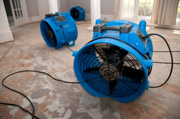 Best Flood damage cleanup  in Middle Valley, TN